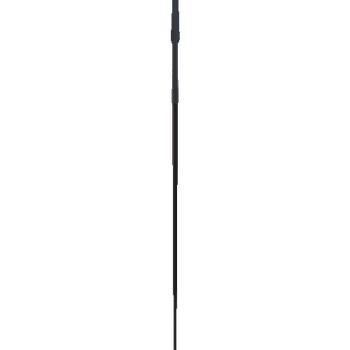 Norseman Spear